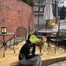 상구농장 이미지