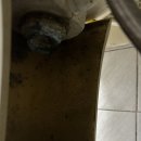 성황산길 이미지