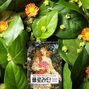 딘디자인