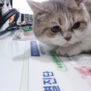 청수동물병원 이미지