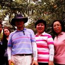 양명초교 이미지