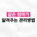 부천시청 근처에 임신 경험이 있는 원장님이 운영하는 필라테스 센터 있을까?