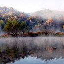 태극체육관 이미지