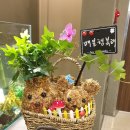 메디움강남요양병원 이미지