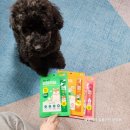 삼척동물병원 | 강아지영양간식추천 보령리베펫댕댕짜요 4종 다이소추천템 후기 - 환장하는 겨울이