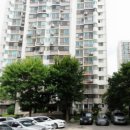 평강상록수약국 이미지