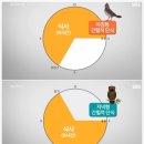 늘 건강한 약국 | 약국 다이어트약 삭센다 다이어트 간헐적 단식 후기 -14kg