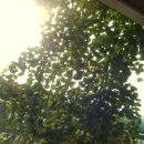 이웃사랑의 집 이미지