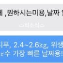 유폴 24시 애견셀프목욕 원주점 이미지
