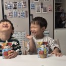 형제특수가공 | 여름철 아기간식 7살 4살 형제도 좋아하는 아넬라 과일퓨레