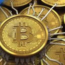 대박성인PC 이미지