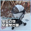 도그인 그레이 | 왓도그캣 무료펫선물 포로리 강아지 유모차 신청방법 당첨 후기