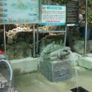 용담샘터 이미지