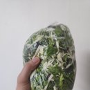 27 | 봉화 춘양면 현지인 맛집 서벽태백송어양식장 내돈내산 후기!