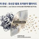 바이오 한스경제