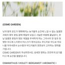 픽세이션