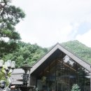 공작산로 | 홍천 계곡펜션,홍천 카페, 홍천 아이랑 피콕빌리지카페 솔직후기