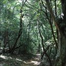 내리2리 농장 | 이승악오름 (이승이오름) 제주 숨은 명소 신례천 생태탐방로 다시 가야지