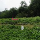 방축농장 이미지