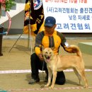 화수초등학교 이미지