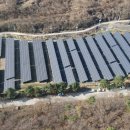 대지 태양광발전소 이미지