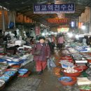 태백삼거리 교통섬 Daum카페