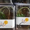 중우유치원 이미지