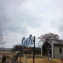 서산농업협동조합 | 내돈내산 서산 건강빵 맛집, 코지그레이 샐러드 카페 방문 후기