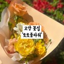 의장로 | 고양 꽃선물 하기 좋은 꽃집 ‘로로플라워’ 후기