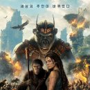 Kingdom of The Planet of The Apes 2024 이미지