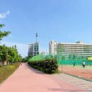 구덕운동장 체육공원 이미지