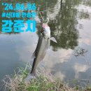 영인낚시터