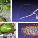 구동농장 이미지