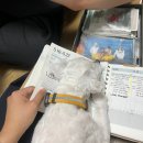 홀리병원 | 내 인생 빅이벤트ㅋㅋ 홀리몰리 6월