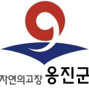 옹진군청 이미지