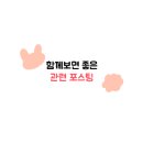젤마씨