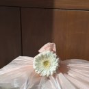 김가네과일가게