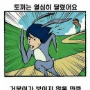 쿠스 이미지