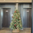 목동2 | 목동 헬스장 추천 | 헬린피스트니 목동점 2년 실사용 후기