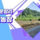 운암리농장 이미지
