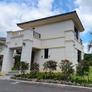 제주리움 이미지