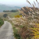 충남목장 이미지