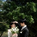 아로하 | 제주스냅 아로하데이 후기(대표작가 여유작가님)