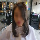 빠마앤컷 이미지