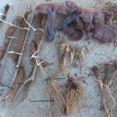 산타의선물 이미지