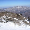 도계초등학교 이미지