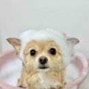 쓰다드멍 이미지