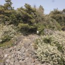 일부2리 이미지