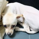 대저중앙로 이미지