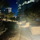 라카이샌드파인 이미지